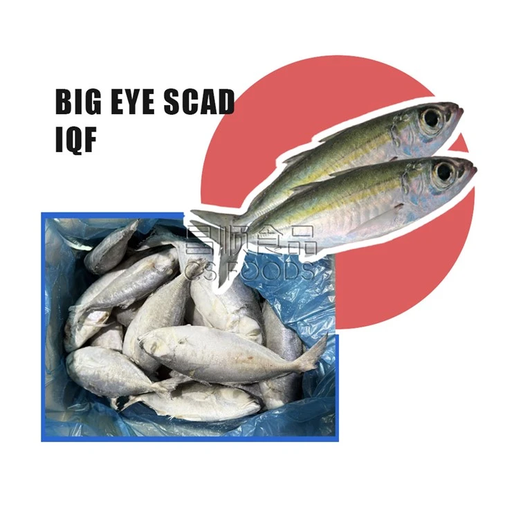 Light Catch Frozen Big Eye Scad