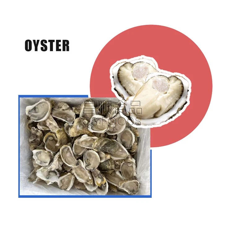 IQF Oyster
