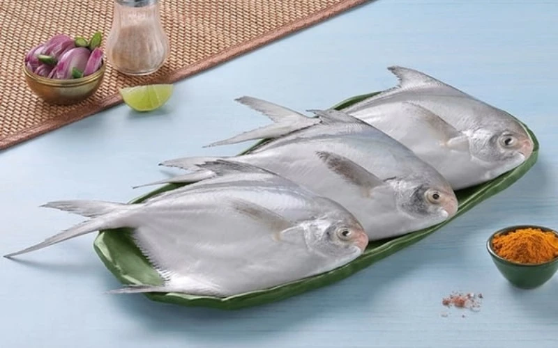 white pomfret white pomfret