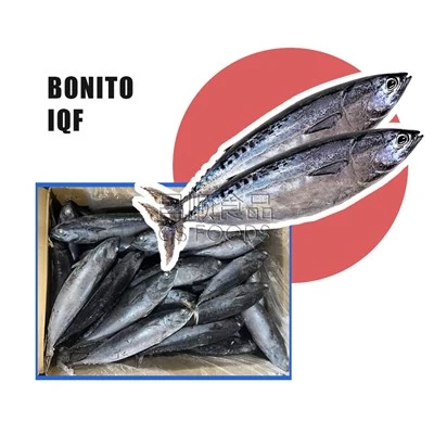 Babhta Iomlán Reoite Bonito
